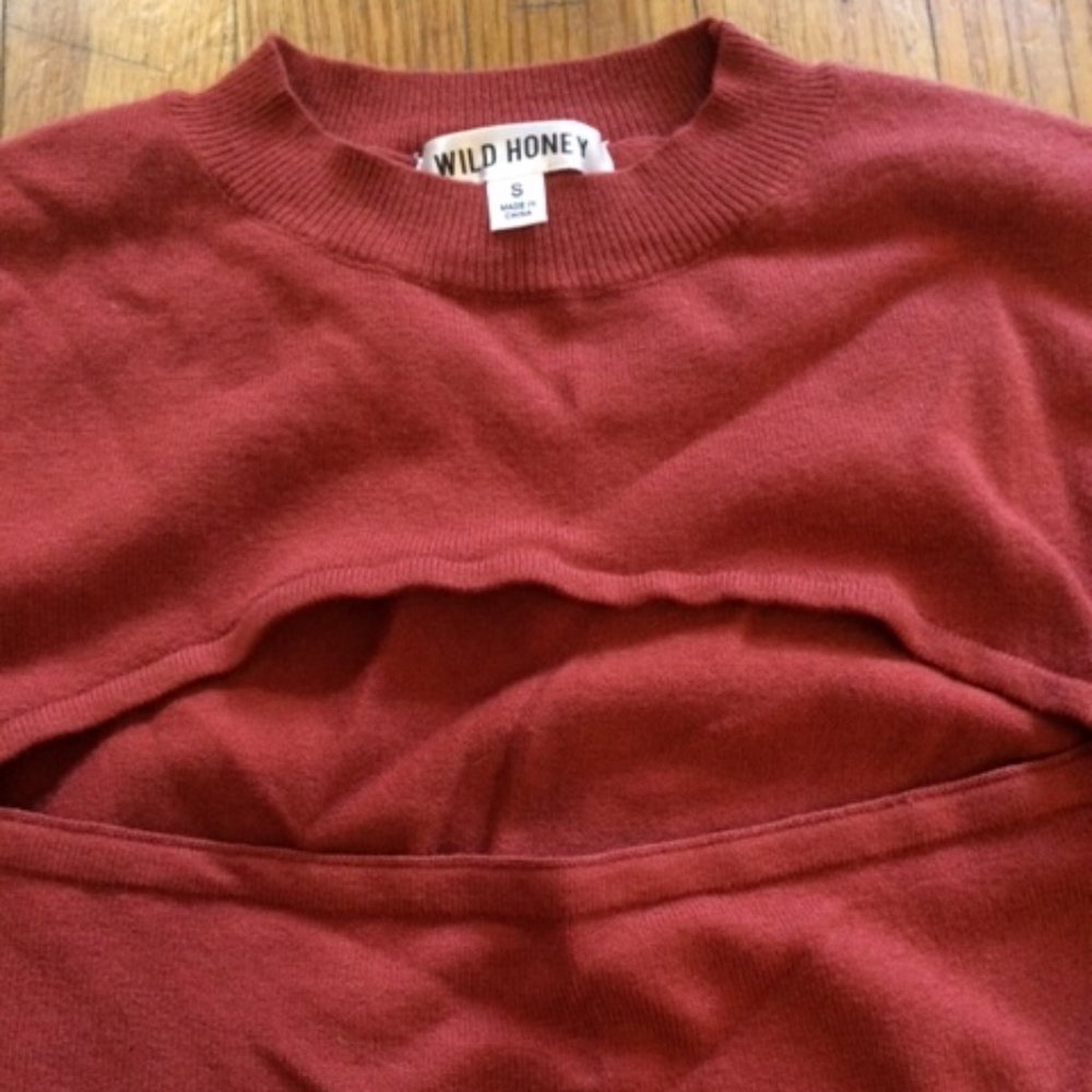 Wild Honey Crop Sweater